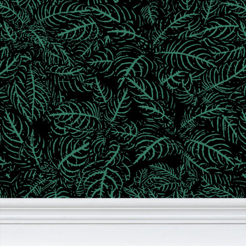 Zebra Plant - Wallpaper Large Print