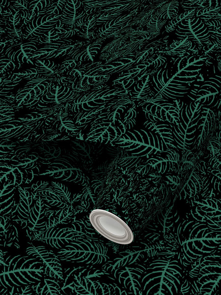 Zebra Plant - Wallpaper Large Print