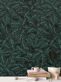 Zebra Plant - Wallpaper Large Print