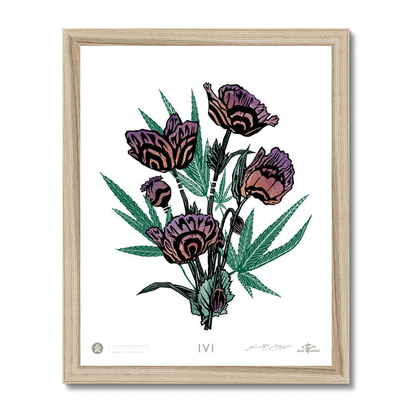 IVI AEON California Poppy Bouquet w/ Cannabis Leaves Framed Print