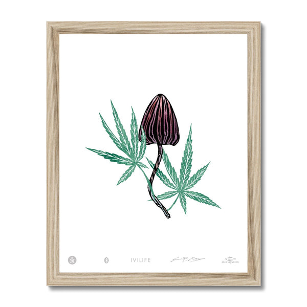 IVI LIFE - Mushroom + Cannabis Print - 008 Framed Print