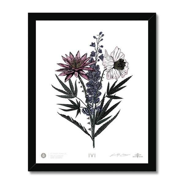IVI Cannabis Bouquet w/ Water Lily, Larkspur, Daffodil 01 Framed Print