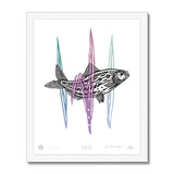 EKO American Shad Fish Framed Print
