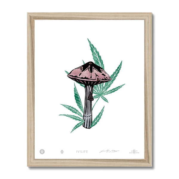 IVI LIFE - Mushroom + Cannabis Print - 004 Framed Print