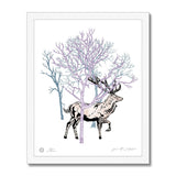 AEON Deer Among Birch Trees 11 x 14 Fine Art Print