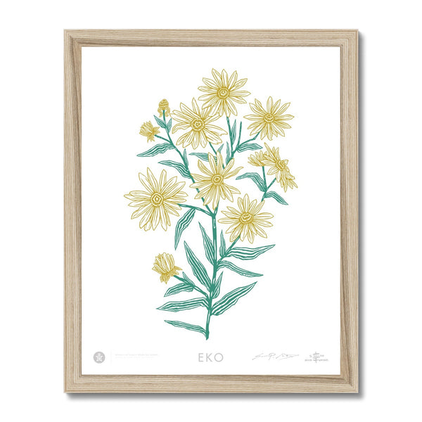 EKO - Brown Eyed Susans - Bouquet 1 Framed Print