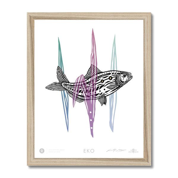 EKO American Shad Fish Framed Print