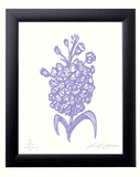 Intuitive Flora Paintings