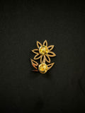 Old City Chapter Pin