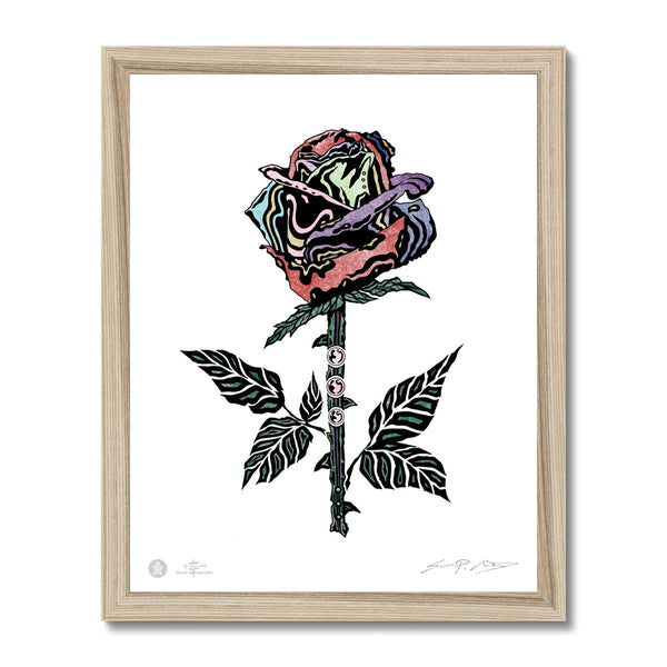 AEON Rainbow Rose Framed Fine art Print