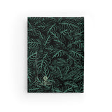 Zebra Plant - Sketchbook Journal