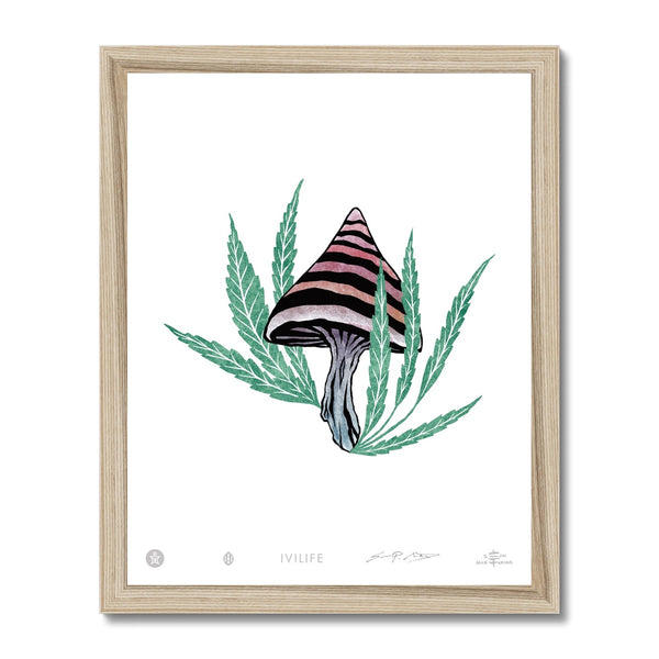 IVI LIFE - Mushroom + Cannabis Print - 007 Framed Print