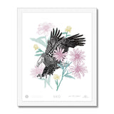 EKO American Bald Eagle Framed Print