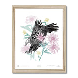 EKO American Bald Eagle Framed Print