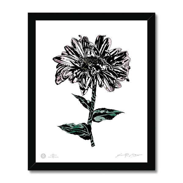 AEON Aster Flower Botanical Framed Fine Art Print