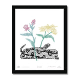 EKO Eastern Water Snake Framed Print