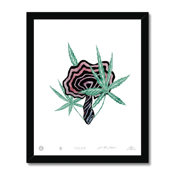 IVI LIFE - Mushroom + Cannabis Print - 006 Framed Print