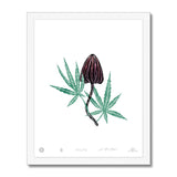IVI LIFE - Mushroom + Cannabis Print - 008 Framed Print