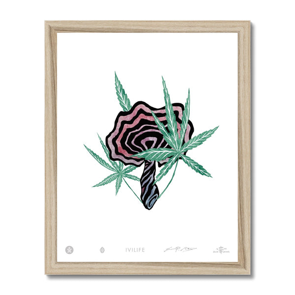 IVI LIFE - Mushroom + Cannabis Print - 006 Framed Print