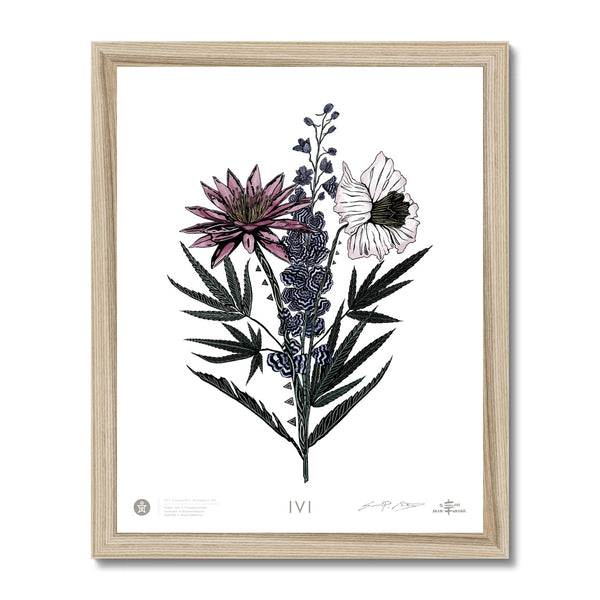 IVI Cannabis Bouquet w/ Water Lily, Larkspur, Daffodil 01 Framed Print