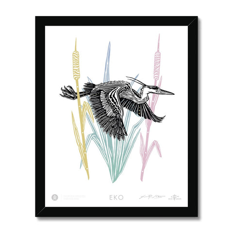 EKO American Shad Fish Framed Print