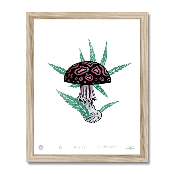 IVI LIFE - Mushroom + Cannabis Print - 005 Framed Print