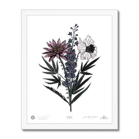 IVI Cannabis Bouquet w/ Water Lily, Larkspur, Daffodil 01 Framed Print