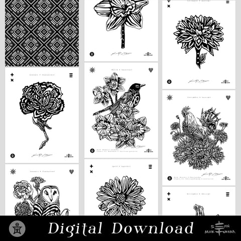 Larkspur Bloom - Wallpaper Medium Print