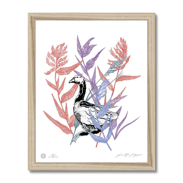 AEON Goose Among Reeds 11 x 14 Framed Fine Art Print