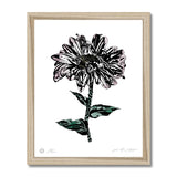 AEON Aster Flower Botanical Framed Fine Art Print