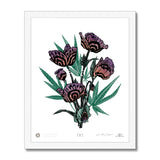 IVI AEON California Poppy Bouquet w/ Cannabis Leaves Framed Print