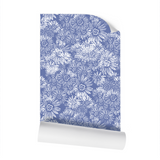 Aster White on Light Blue - Wallpaper Large Print