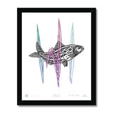 EKO American Shad Fish Framed Print